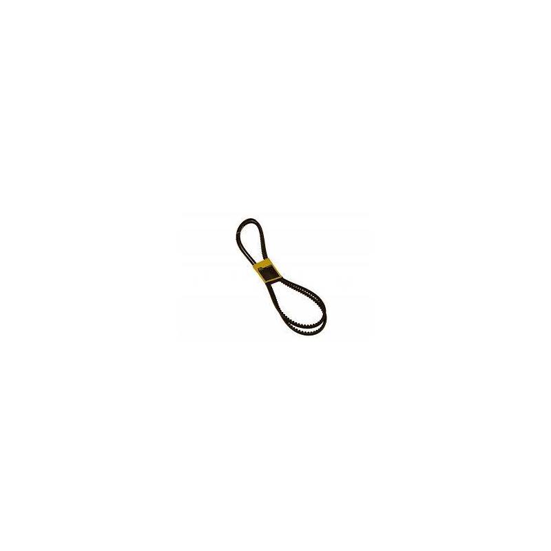 Curea Combina Claas, 667367, AR72036, 833867M1, 80747177 Continental - 1