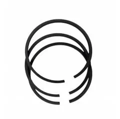 Segmenti Priza Putere New Holland Ø 59.36 MM X 2.37mm, 81809513, 8313283 Kmp - 1