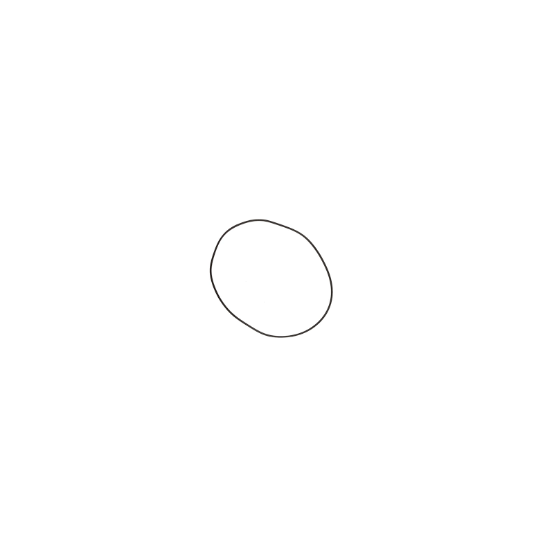 Oring Piston Frana John Deere AS211529, L56244, T135749, T28473 AAP - 1