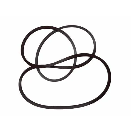 Inel Etansare Piston Frana New Holland 259.6 x 266.4 x 3.4 mm, 5165511, 416-32 AGCO Parts - 1