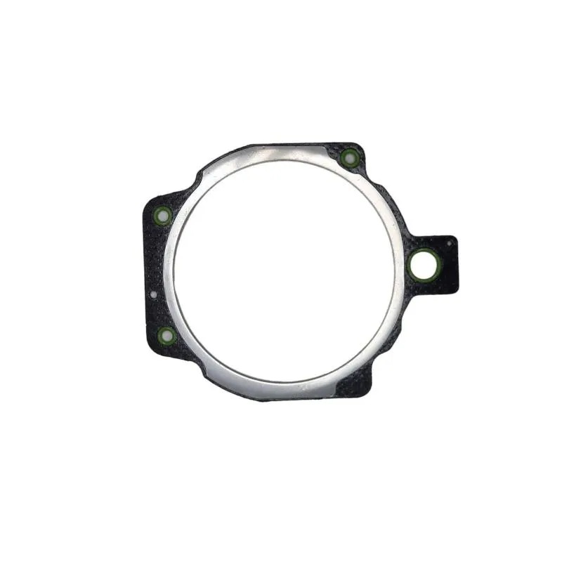 Garnitura Chiulasa Same 781453, 781453030, 781453040, 781453060 Bepco - 1