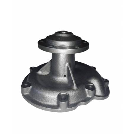 Pompa Apa Case, 3138936R91, 3138936R92, 3138936R9 AAP - 1