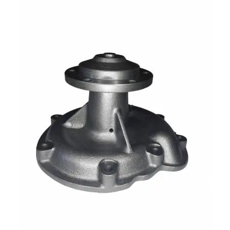 Pompa Apa Case, 3138936R91, 3138936R92, 3138936R9 AAP - 1