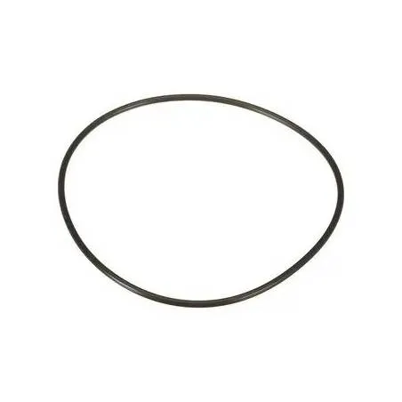 Oring Piston Frana John Deere R126399, R125756, R119759 AAP - 1