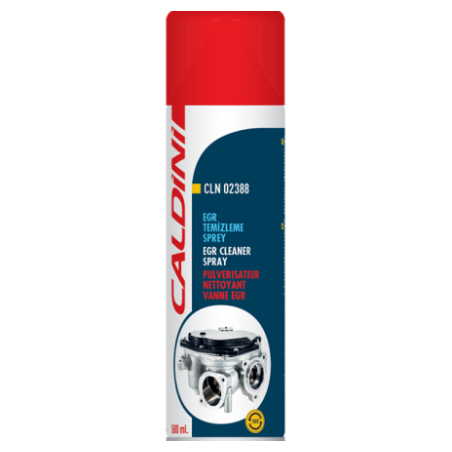 Spray curatat EGR 500ml