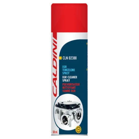 Spray curatat EGR 500ml