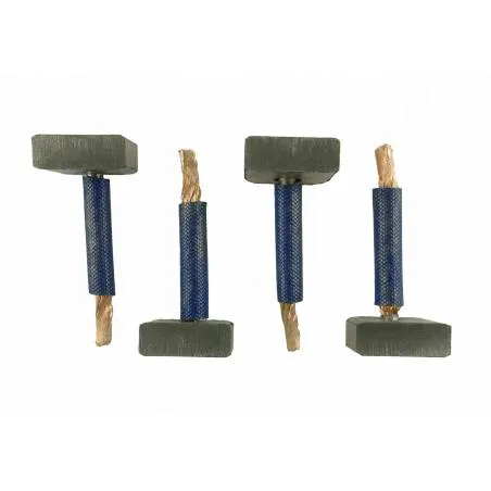 Set Perii Demaror Hitachi, 2130-13111, 2130-3315, 2130-7312, 2240-1311, 2240-1312 Magneti Marelli - 1