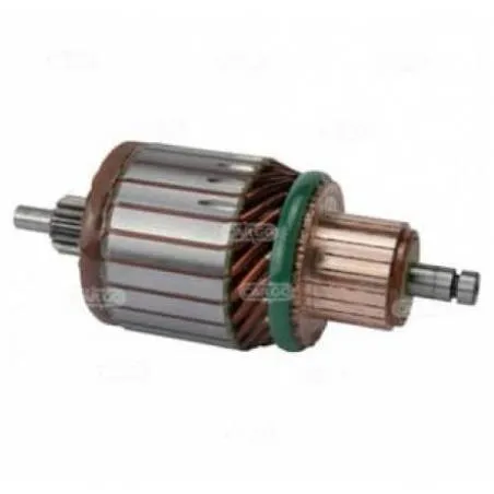 Rotor Electromotor 12V-2,0KW, 137893, 46473784  - 1