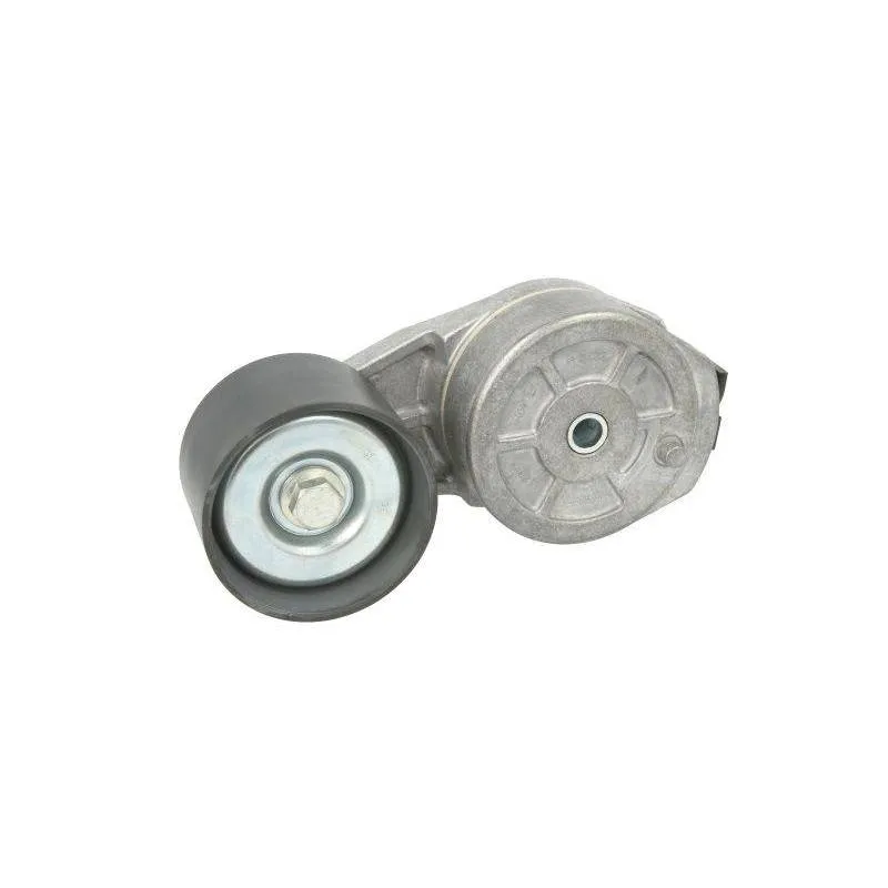 Intinzator curea transmisie Iveco, 504387130, 5802025650 Dayco - 1