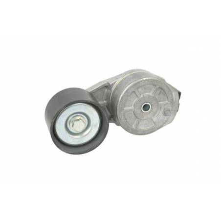 Intinzator curea transmisie Iveco, 504387130, 5802025650 Dayco - 1