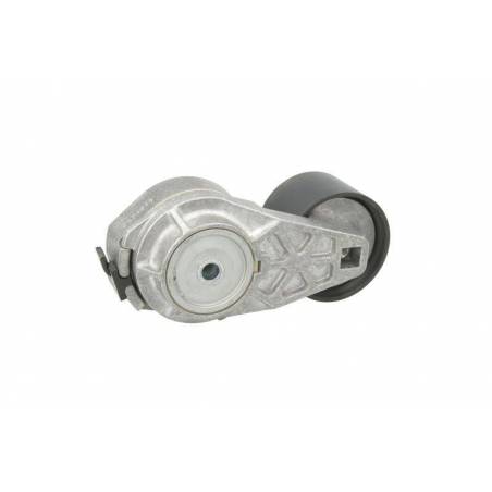 Intinzator curea transmisie Iveco Stralis 504387130,5802025650
