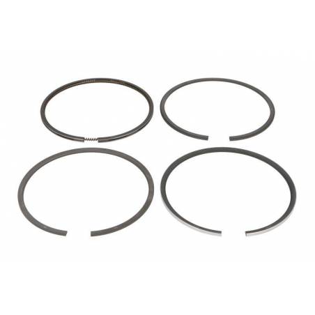 Segmenti motor Fendt ,Renault F281202310021, F281202310040, F281202310050, 7701201833, 800034210000, 120032000600, 89-3209-0000 