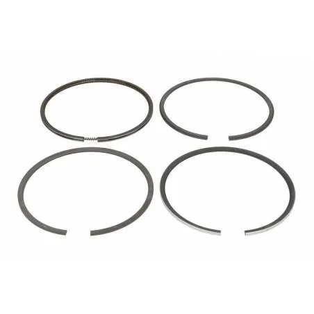 Segmenti motor Fendt ,Renault F281202310021, F281202310040, F281202310050, 7701201833, 800034210000, 120032000600, 89-3209-0000 