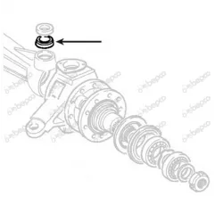 Rulment pivot Fiat 5119699 84229624, 1861705M1, 84229623