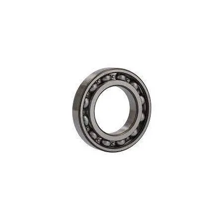 Rulment punte spate Case-IH 3220035R91 AAP - 1