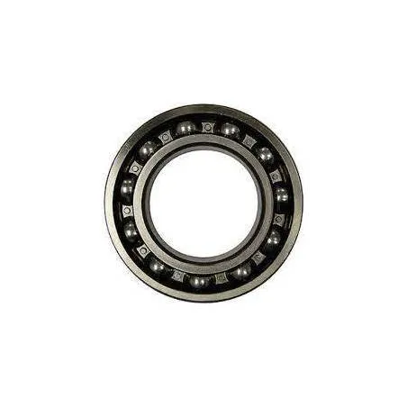 Rulment roata spate Case-IH 3146254R91 Anglo Parts - 1