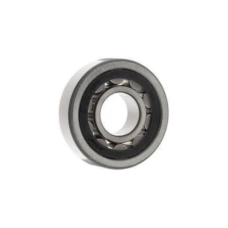 Rulment cutie viteze NU306E Fag - 1