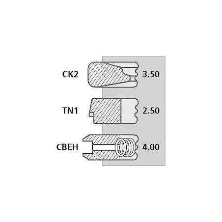 Set segmenti motor Massey Ferguson Fi 100 MM , 3641316M91, 4181A023