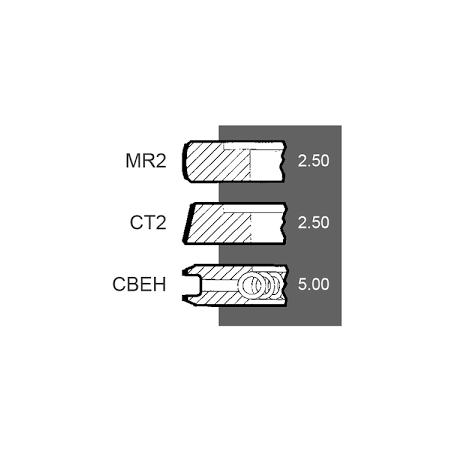 Set segmenti motor Massey Ferguson Fi 101.05 MM , 747428M91, 4222053M91