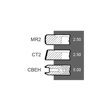 Set segmenti motor Massey Ferguson Fi 101.05 MM , 747428M91, 4222053M91