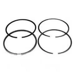 Set segmenti motor JCB Fi 98 MM , 98800102 , AHM9013 Bepco - 1