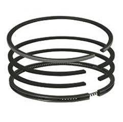 Set segmenti motor Deutz 31100524 , 0.311.0052.4 Bepco - 1