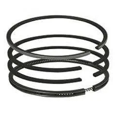 Set segmenti motor Deutz 31100524 , 0.311.0052.4 Bepco - 1