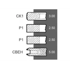 Set segmenti motor Deutz Fi 100 MM 02233074, 02133809, 02135287 Bepco - 2