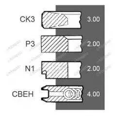 Set segmenti motor Fendt Fi 100 MM F281202310021,F281202310040, F28120231005 Bepco - 4