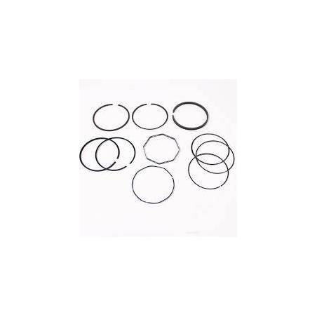 Set segmenti motor Massey Ferguson Fi 91.49 734463M91, 734470M91,736494M91 Bepco - 1