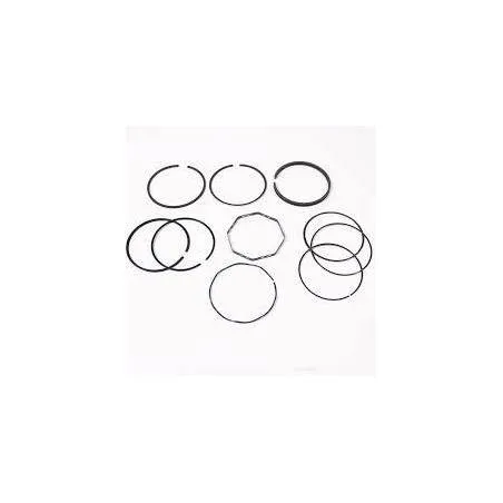 Set segmenti motor Massey Ferguson Fi 91.49 734463M91, 734470M91,736494M91 Bepco - 1