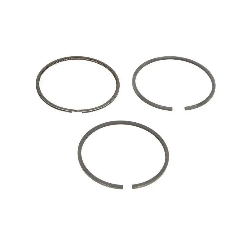 Set segmenti motor Massey Ferguson 100 MM 3637032M91, 4181A013, 4181A016 Bepco - 1