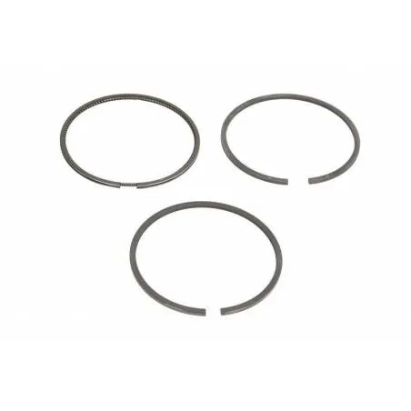 Set segmenti motor Massey Ferguson 100 MM 3637032M91, 4181A013, 4181A016 Bepco - 1