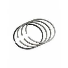 Set segmenti motor Ford Fi 107.21 MM 703F6148AAA, 703F6148AAB,793F6148AAA Power Seal - 1