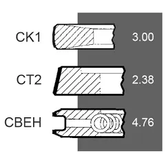Set segmenti motor Case-IH Fi 98.42 MM 3059261R91, 3139594R91,H3139594R91