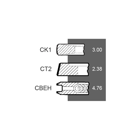 Set segmenti motor Case-IH Fi 98.42 MM 3059261R91, 3139594R91,H3139594R91