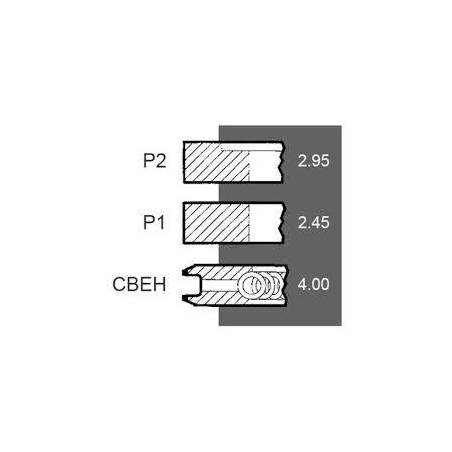 Set segmenti motor Same Fi 105 MM 1966437C1, 8600526, 860052610