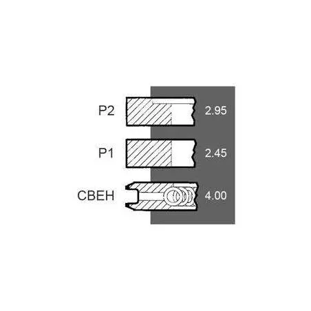 Set segmenti motor Same Fi 105 MM 1966437C1, 8600526, 860052610