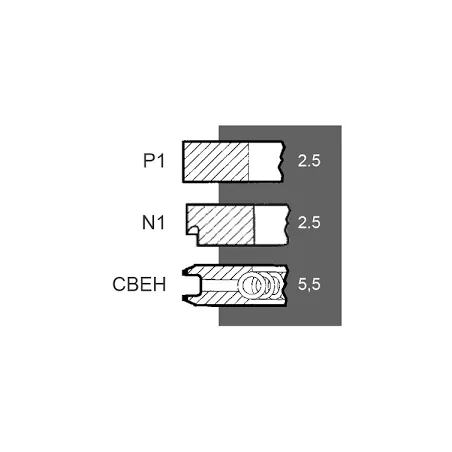 Segmenti motor Fiat Ø 100 mm- STD, 1900708, 1900719,,1900730, 1900740, 1908737, 1909172