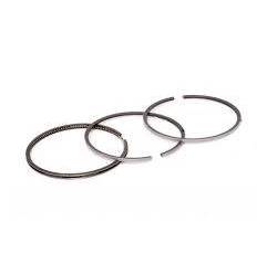 Set segmenti motor Case-IH Fi 100 MM 3218920R91, 87556000 Bepco - 1