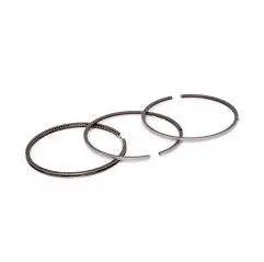 Set segmenti motor Case-IH Fi 100 MM 3218920R91, 87556000 Bepco - 1