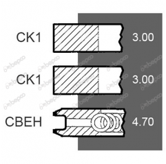 Set segmenti motor Case-IH Fi 100 MM 3218920R91, 87556000