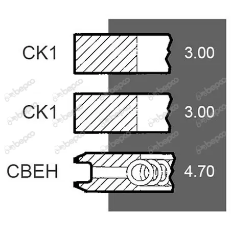 Set segmenti motor Case-IH Fi 100 MM 3218920R91, 87556000