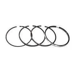 Set segmenti motor Perkins Fi 98.48 MM 745763M91,41158044,738047M91 Sparex - 1