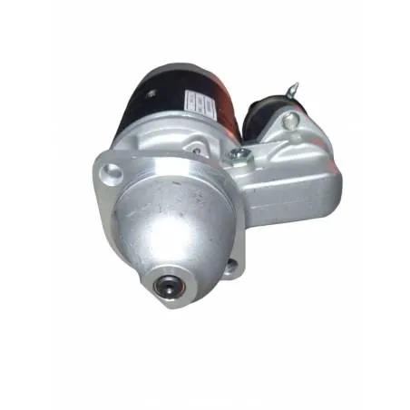 Electromotor pornire Ruggerini 56308 Lucas Elektrik - 1