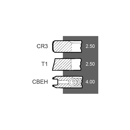 Segmenti motor Perkins Ø 100, 3637033M91, 4181A014, 4181A015, 4181A019