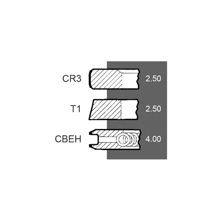 Segmenti motor Perkins Ø 100, 3637033M91, 4181A014, 4181A015, 4181A019