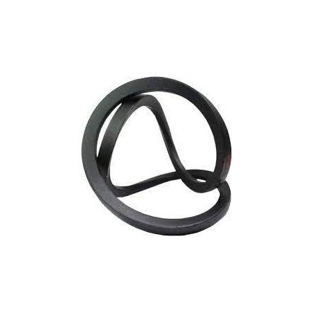 Curea combina, 17x1660Li-1700Ld, 528419R91, 554396, 758662, 01145790, 0301131, S0614215, 84452112, 614215 Gates - 1