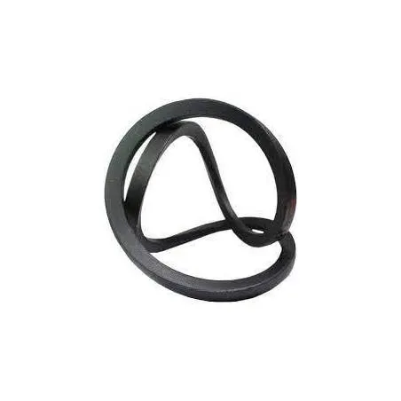 Curea combina, 17x1660Li-1700Ld, 528419R91, 554396, 758662, 01145790, 0301131, S0614215, 84452112, 614215 Gates - 1