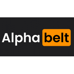 Curea transmisie combina, 22x6223Li-22x6311La, 724247, 317535030, 340433453 Alpha Parts - 1